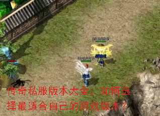 ����˽���汾��ȫ�����ѡ�����ʺ��Լ�����Ϸ�汾��