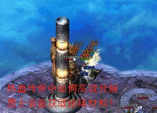 ��Ѫ��������θ�Ч�ֽ���ʿװ����ȡ��ϡ���ϣ�