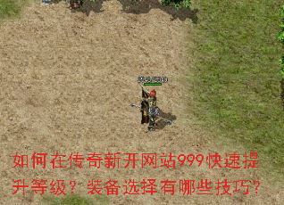 ����ڴ����¿���վ999���������ȼ���װ��ѡ������Щ���ɣ�