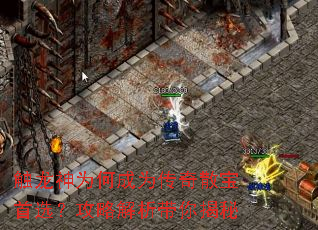 触龙神为何成为传奇散宝首选?攻略解析带你揭秘 触龙神为何成为传奇散宝首选?攻略解析带你揭秘