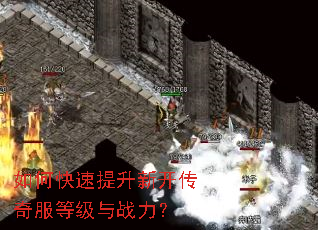 ��ο��������¿�������ȼ���ս����