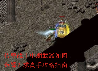 ����սʿ�����������ѡ������ֹ���ָ��