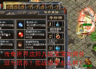 传奇世界法师九级宝宝如何获取与培养?实战效果怎么样? 传奇世界法师九级宝宝如何获取与培养?实战效果怎么样?