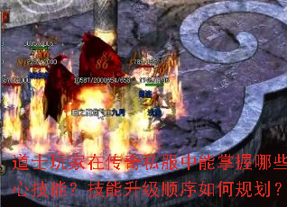 ��ʿ����ڴ���˽������������Щ���ļ��ܣ���������˳����ι滮��