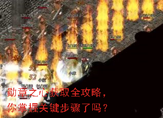 ѫ��֮�Ļ�ȡȫ���ԣ������չؼ���������