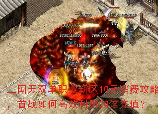 ������˫��ְҵ����10Ԫ���ѹ��ԣ���ս��θ�Ч����20����ֵ��