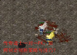 �����ʿһ��һPK������ƶ���ʤ�����뼼�ɣ�