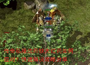 ����˽����ʦȱ���ҩ���Ӧ�ԣ����ٽ�����Է���