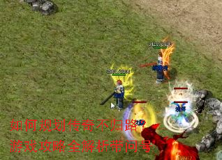 ��ι滮���治��·����Ϸ����ȫ�������ʺ�