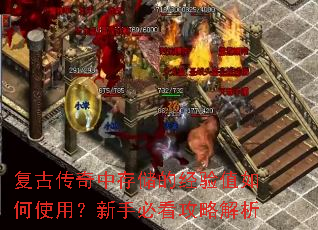 ���Ŵ����д洢�ľ���ֵ���ʹ�ã����ֱؿ����Խ���