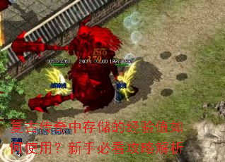 ���Ŵ����д洢�ľ���ֵ���ʹ�ã����ֱؿ����Խ���