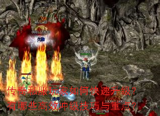 ����˽�������ο�������������Щ��Ч�弶�������ص㣿