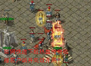 ��ο���������Ѫ����˽���ͻ��˲���Ч���֣�