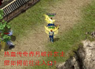 ��Ѫ�������Ͽ�ȶ��������ǰ������ڣ�